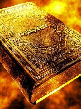 Geborgenheit in Christus (Johannes 10,27-30